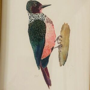 Colorful Bird Art Print